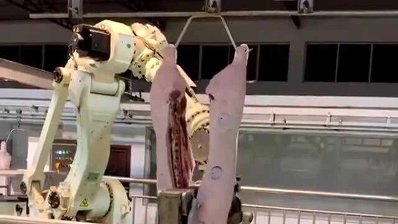 Robot de Corte de Carne Inteligente