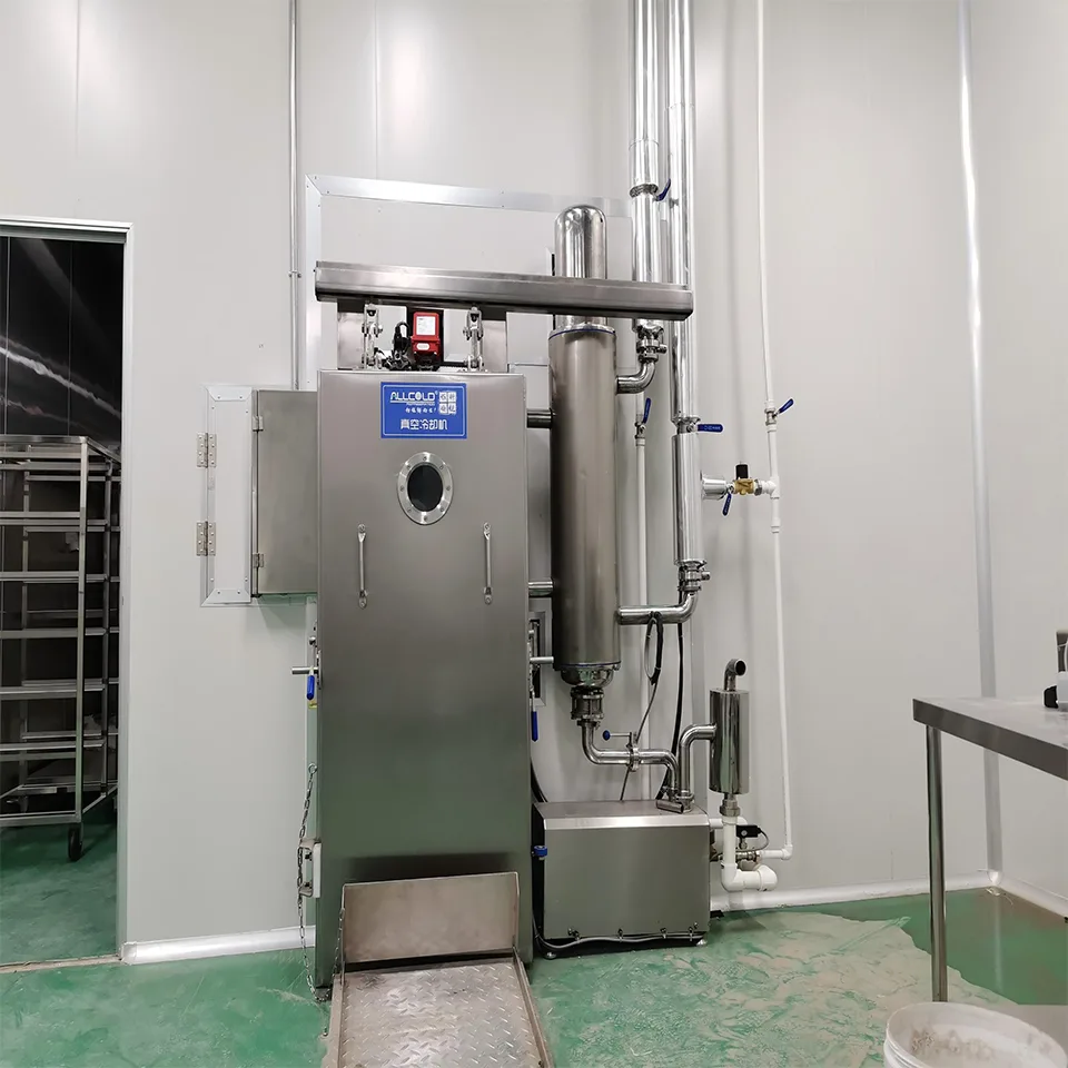 Pendingin Vakum Cepat AVCF-100 Batch 100kg Mesin Penyejuk Makanan Keluli Tahan Karat