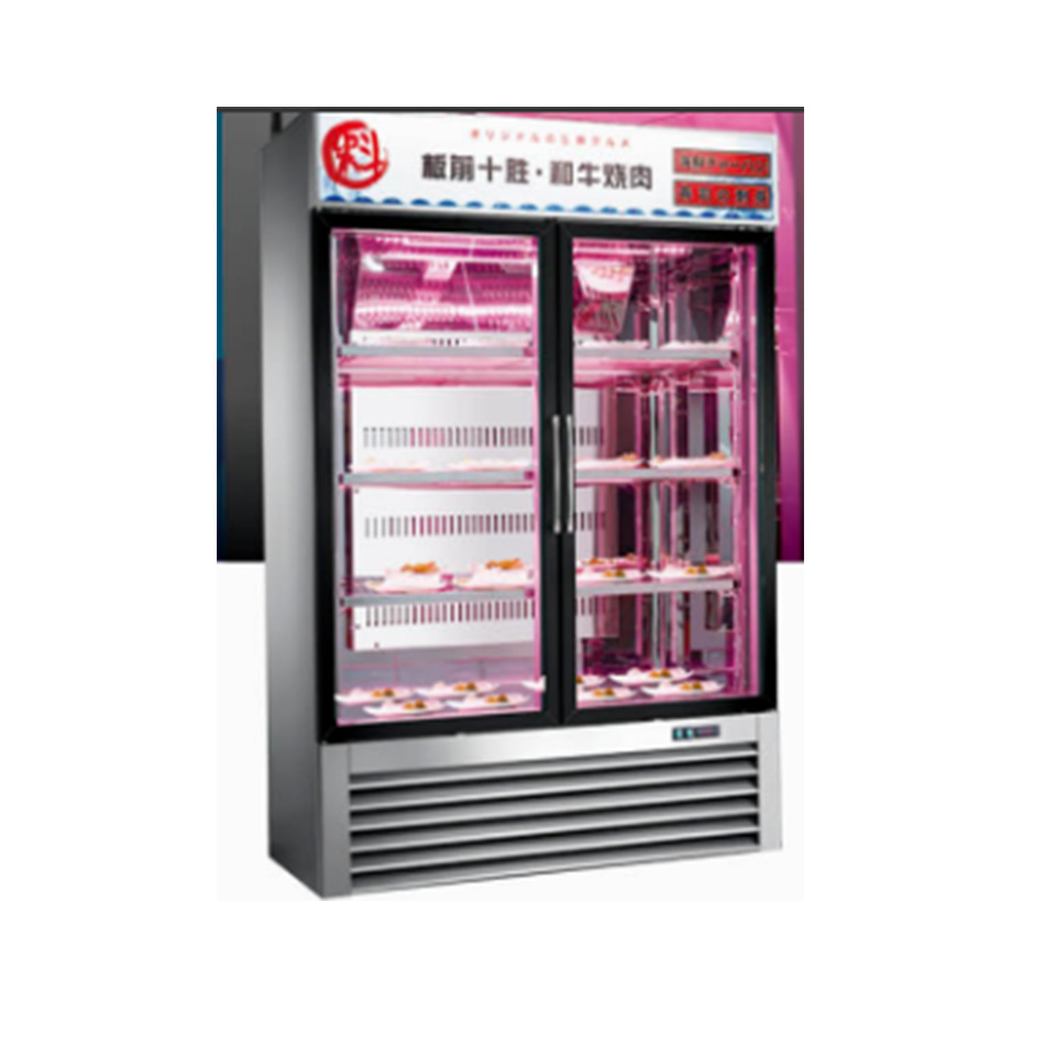 Armoire surgélateur à porte simple SS550F -25 °C Réfrigération haute performance