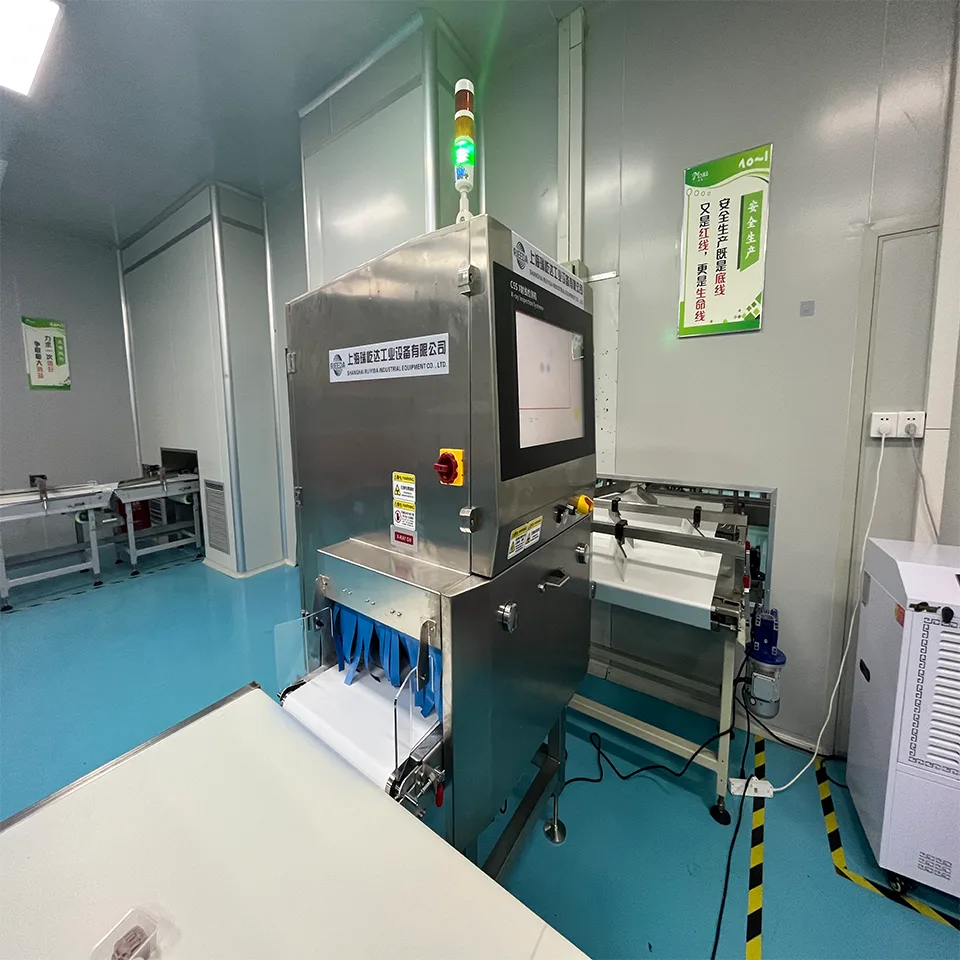 Détecteur de corps étrangers par rayons X RD-TA4016 pour sacs d'aliments emballés en acier inoxydable SUS304 de qualité alimentaire