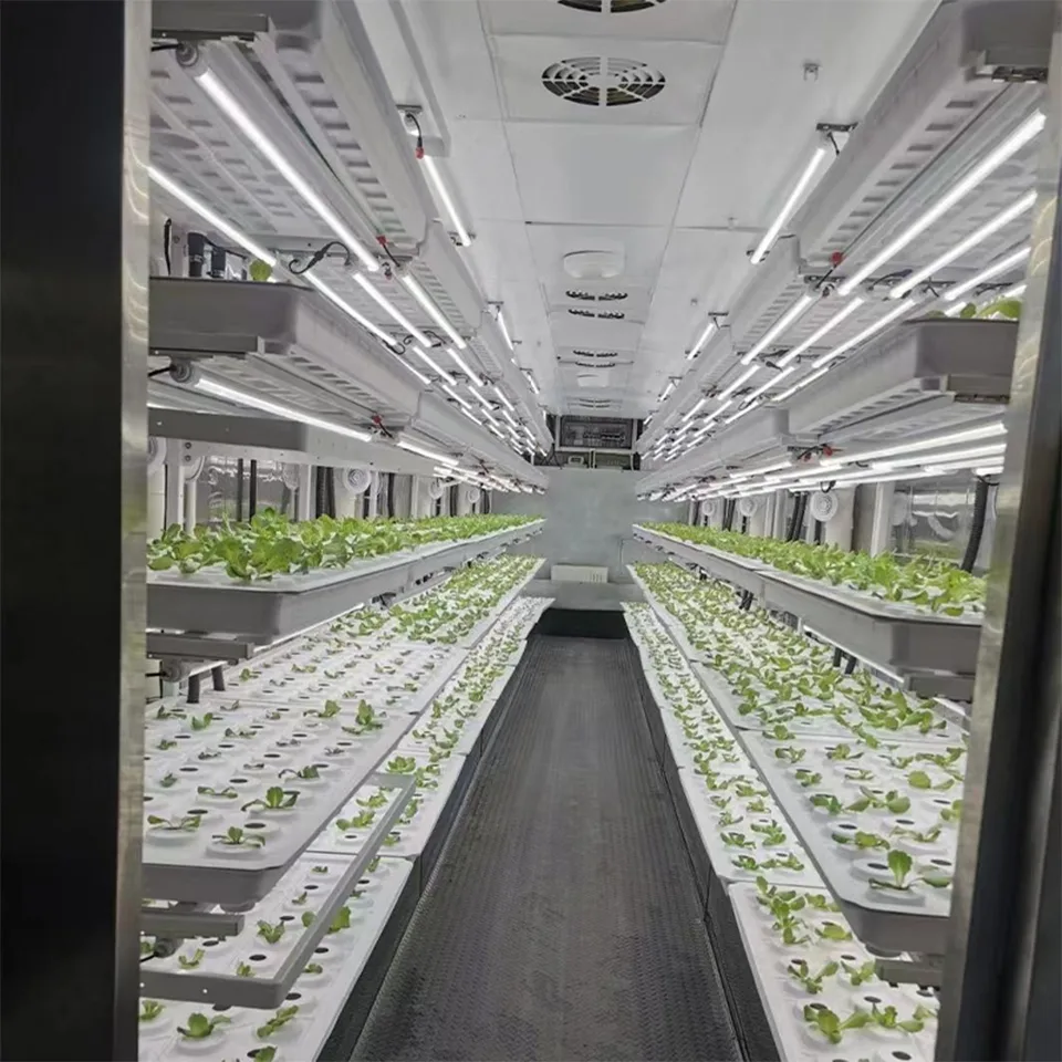 Sistema de Cultivo de Folhas Verdes em Contêiner de 40 pés para Agricultura Urbana Hidropônica