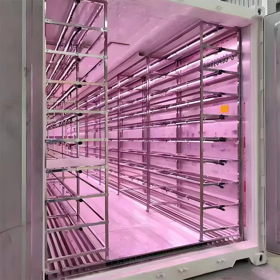 Sistema de Cultivo de Folhas Verdes em Contêiner de 40 pés para Agricultura Urbana Hidropônica