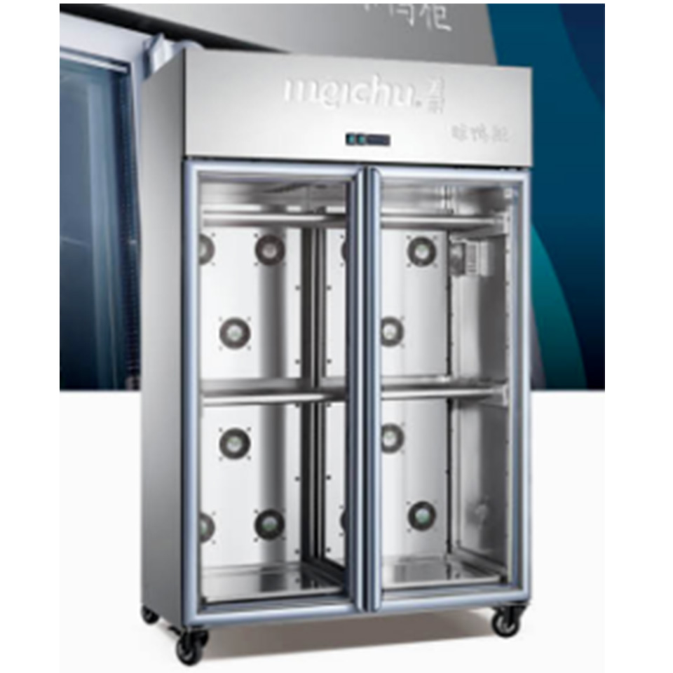 Armoire surgélateur à porte simple SS550F -25 °C Réfrigération haute performance