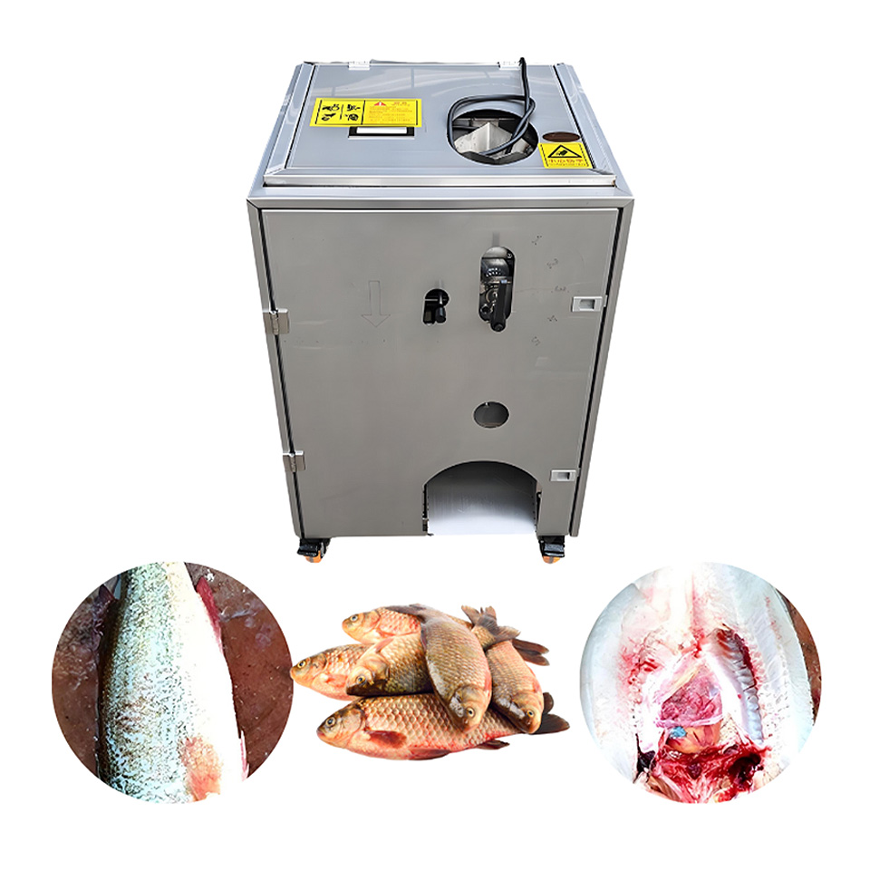 Machine à tuer le poisson FK-500 en acier inoxydable haute efficacité 500pcs/h Processeur de fruits de mer