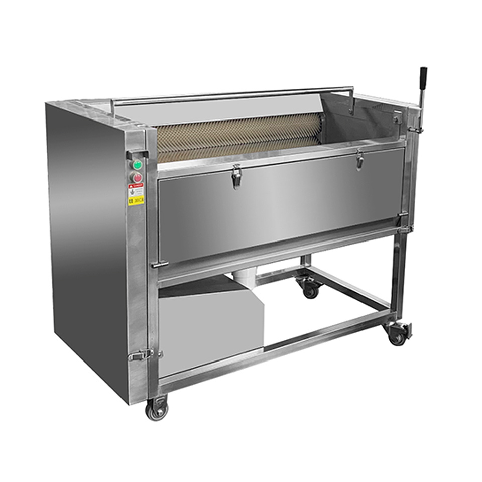 DXC-1500 Horizontal Brush Peeling Machine 600-800kg/h 1.5kW Root Vegetables