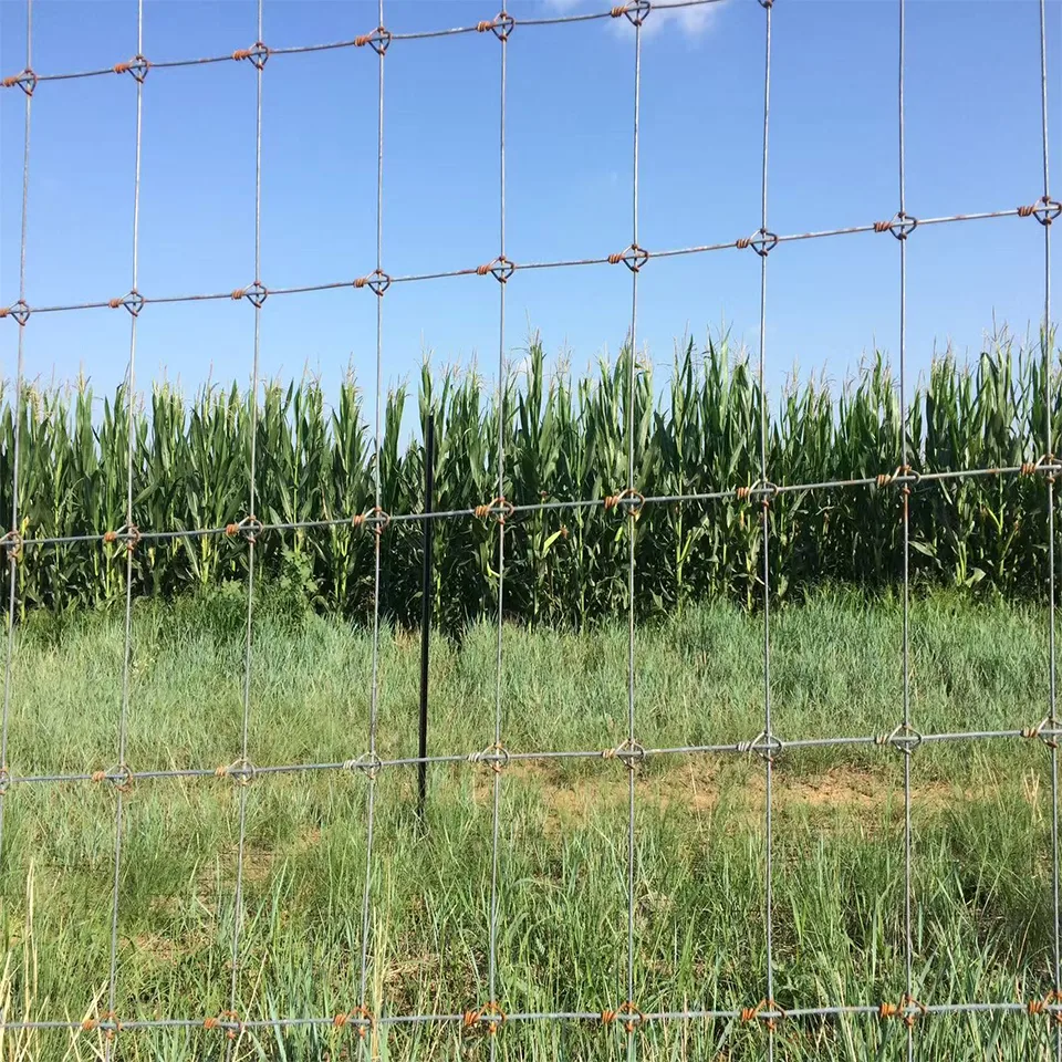 Machine CNC à tisser les clôtures pour bovins 1.1-2.4m pour usage agricole