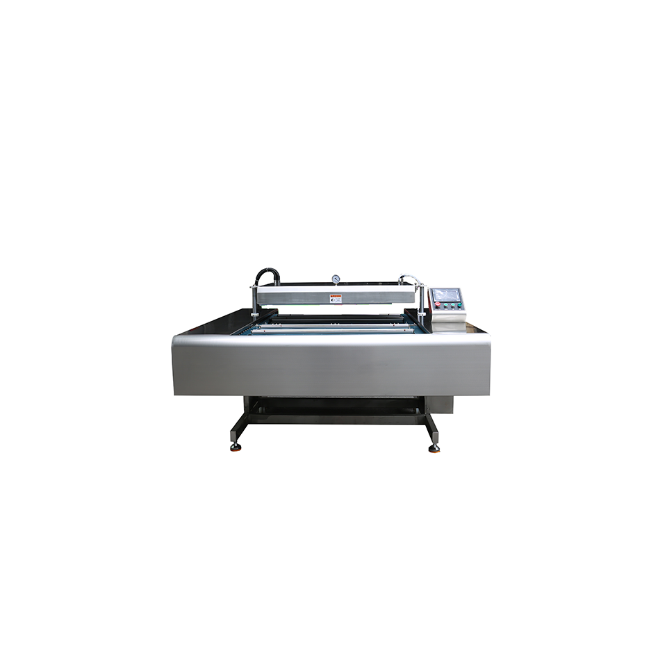 DZ-600 Double Sealed Continuous Belt Vacuum Packaging Machine