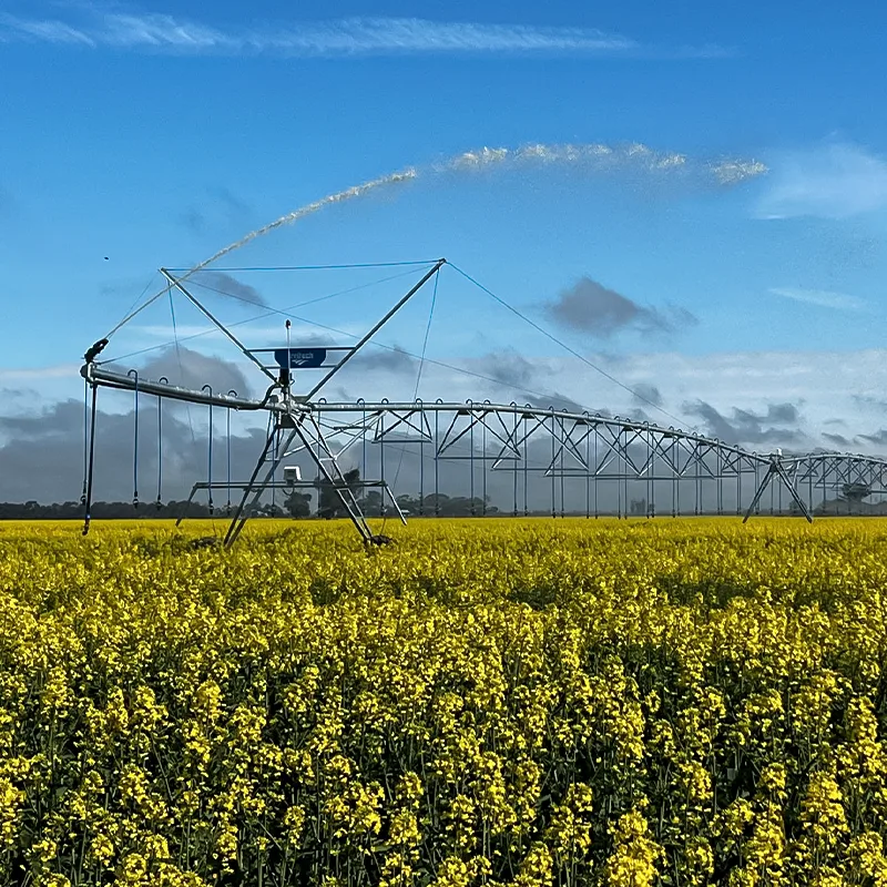 Sistema de riego de avance lineal de cuatro ruedas con guía GPS y tanque de fertirrigación